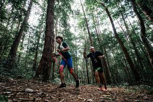 BIB: 
                            <button type="button" onclick="openModal(25261187)" class="btn btn-primary btn-sm float-right btn-popup" data-toggle="modal" data-target=".modal-high-quality">
                        <i class="fas fa-shopping-cart"></i> Add to Cart
                    </button>
                                            <button type="button" onclick="isThisMe(25261187, true)" class="btn btn-success btn-sm float-right btn-popup btn-isme hidden" data-toggle="tooltip" data-placement="bottom" title="นี่คือรูปของคุณใช่ไหม คลิกที่นี่เพื่อเอาเข้าอัลบั้ม">
                        <i class="fas fa-plus"></i> Add to album
                    </button>
                    <button type="button" onclick="isThisMe(25261187, false)" class="btn btn-warning btn-sm float-right btn-popup btn-isnotme hidden">
                        <i class="fas fa-ban"></i> Remove from album
                    </button>